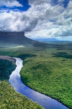 
                    
                        Amazonas, Brazil
                    
                