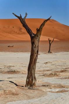 
                    
                        Deadvlei, Namibia
                    
                