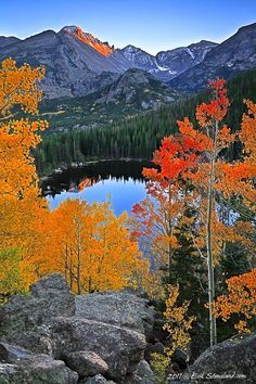 
                    
                        Bear Lake, Rocky Mountain National Park, Colorado, Beautiful place... I would love to go sometime...
                    
                