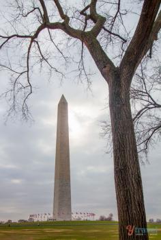 
                    
                        Don't miss the National Monument when visiting Washington DC
                    
                