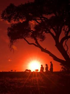 
                    
                        Maasai Mara, Kenya
                    
                