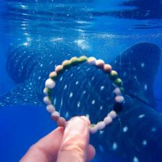 
                    
                        Lokai has partnered with World Wildlife Fund to help spread the global message of balance in the wild. Im living wild, are you?
                    
                