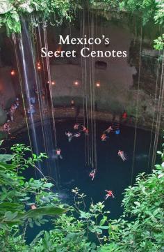 
                    
                        Discover Mexico's Secret Cenotes on the Yucatan Peninsula
                    
                