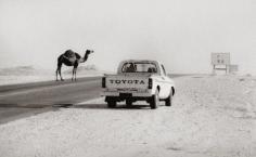 
                    
                        ☸From Bedouin, Saudi Arabia 1983 - Scot Sothern
                    
                