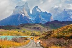 
                    
                        Patagonia and Torres del Paine: Hiking at the Edge of the World - SmarterTravel.com
                    
                