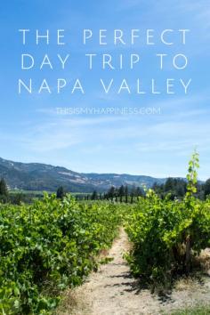 
                    
                        The Perfect Day Trip to Napa Valley, California
                    
                