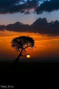 
                    
                        Sunset In Masai Mara . Tanzania .
                    
                