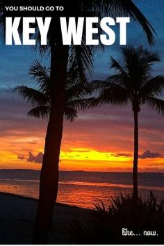 
                    
                        Why You Should Go To Key West, Florida.  Things to Do and See in Key West, FL.  Click the pin to read the post from www.flirtingwitht...
                    
                