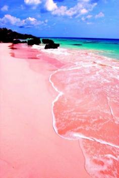 
                    
                        Pink Sand Beach, Bahamas
                    
                