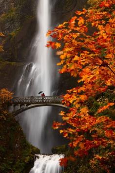
                    
                        Bucket List No 1_ 10 Magical Travel Spots You Won't Believe Exist in the U.S.A._ 5  Columbia River Gorge, Oregon 1
                    
                