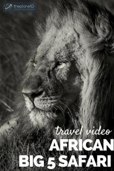 
                    
                        African Big 5 Safari – A video is way better than a stupid trophy | The Planet D: Adventure Travel Blog
                    
                