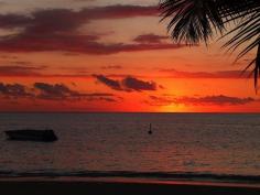 
                    
                        Qalito Island, Western, Fiji - Castaway Island, Fiji Sunset #fiji
                    
                