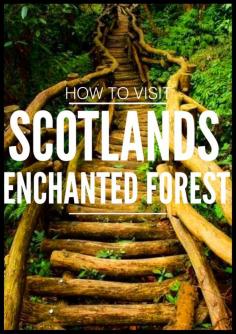 
                    
                        Where, When and How To Visit Scotland
                    
                