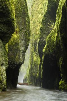 
                    
                        Bucket List No 1_ 10 Magical Travel Spots You Won't Believe Exist in the U.S.A._ 5  Columbia River Gorge, Oregon
                    
                