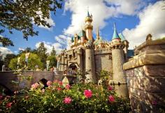 
                    
                        The Disneyland Bucket List: 40 Things You Need to Do Before You Die
                    
                