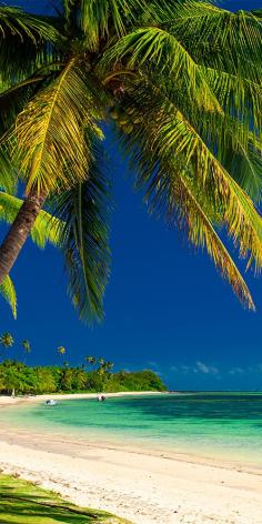 
                    
                        Fiji consists of nearly 350 individual islands, of which about a third are inhabited #Fiji
                    
                