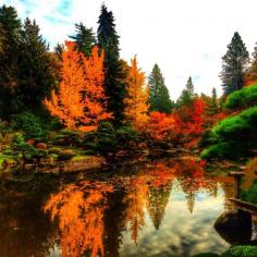 
                        
                            Japanese Garden, Seattle, Washington - Japanese Garden in Seattle...
                        
                    