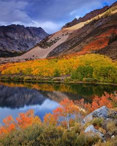 
                        
                            North Lake, Inyo County, California - It's autumn in the Sierras. ...
                        
                    