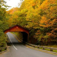 
                    
                        America's Best Fall Foliage Drives from Travel + Leisure
                    
                