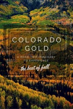
                    
                        The Best Fall Colors in Colorado: A Detailed Road Trip Itinerary
                    
                