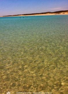 
                    
                        Calm & crystal clear. Cable Beach, Broome Western Australia.
                    
                