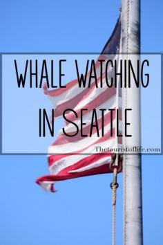 
                    
                        Seattle Whale Watching - The Tourist Of Life
                    
                