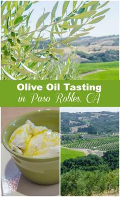 
                        
                            Olive oil tasting in Central California's wine country: Paso Robles, CA: www.everintransit...
                        
                    