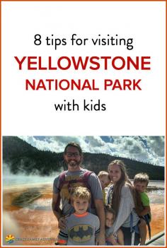 
                    
                        Is Yellowstone National Park on your bucket list as a family? Check out these 8 insider tips!
                    
                