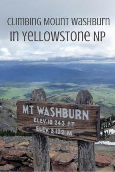 
                        
                            Climbing Yellowstone's Mount Washburn - our tips and tricks for this must do in one of America's most amazing national parks!
                        
                    