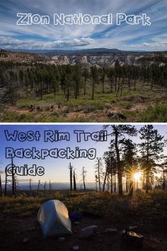 
                        
                            Zion National Park West Rim Trail Backpacking Guide
                        
                    