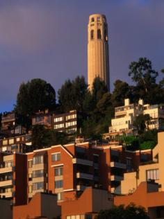 Apartment Buildings with Coit Tower Behind, San Francisco, USA - John Elk III - Photographic Print from Art. co. uk