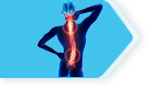 The Spine Services Department at Primus Super Speciality Hospital is running one of the best spine care programs in the country and is manned by a team of dedicated spine doctors whose only interest is to provide state of the art spine services to the patients.