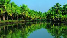 Kerala holds an outstanding hotspot among world’s top tourist places. This tiny southern state in the Indian subcontinent that stretches along the Arabian sea are unique in its richness about landscapes, climate, and culture.  The omnipresent greenery and amazing tourist attractions beckon travelers all around the world.  Kerala beaches and backwaters are must visit for anyone who craves some unique experiences. With the rising demand of Kerala tour packages from Delhi and other major cities, Kerala has gained prominence over inland tourism spots. 
•	Location: South part of India
•	Capital City: ChristanityThiruvananthapuram
•	Area: 38,863
•	Language: Language
•	Other languages: English, Hindi, Tamil, etc.
•	Religions: Christianity, Islam
•	Time: GMT +5.30
•	Currency: Indian Rupee(INR)
•	Weather: Tropical
•	Summer season: February-may(24 degree celsius- 30)
•	Monsoon season- June to September(22 to 28-degree celsius)
•	Winter- October to January
•	Tourist season- October to may
•	peak season- November to January

•	The highest peak- Anamudi peak(Munnar)
•	Total rivers- 44
•	Longest river- Periyar 
•	Number of districts- 14
•	Largest district- Idukki
•	Smallest district- Alappuzha
•	Highest populous district- Malappuram
•	Lowest populous district- Wayanad
In order to make your Kerala trip memorable and hassle free the best way to avail Kerala tour packages of different tour operators who offers great deals and offers on budget and travel arrangements.  There are religious packages, wildlife packages, adventure tour packages, honeymoon tour packages and the list go on which you can choose according to your budget and timing. 

