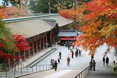Kyoto Travel Guide
