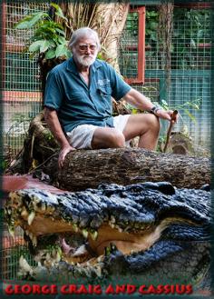 Marineland Melanesia Cassius