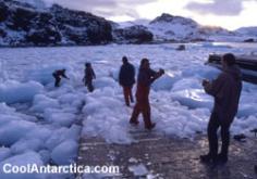 Free Use Pictures of Antarctica