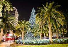 Christmas Tree in Orlando, Florida
