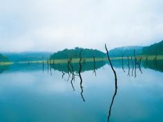 Kerala, the small state in South India well known for its culture and tradition. The land is also famous for its natural beauty and the presence of scenic destinations of which a majority of them includes hill stations and backwater destinations. Thekkady is one such destination well known for its scenic beauty. Thekkady is one of the main tourist destinations in Kerala tour packages offered by different tour operators in Kerala. The scenic beauty of lakes, birds watching, mountains, peaceful environment and the natural elements are the major attracting factors of Thekkady, which attracts tourists to Kerala. If somebody visits Kerala, then they don’t miss to visit Thekkady. Because this place creates a unique and memorable experience.There are lots of places to see in Thekkady. Some of the must-visit destinations in Thekkady and the distance from city center are listed below: 
•	Periyar National Park : 16 kms from city center.
•	Tiger Trail                   : 2 kms from the city center
•	 Bamboo Rafting         : 1 kms from city center
•	 Thekkady Lake           : 5 kms from city center
•	Anakkara                     : 2 kms from city center
•	 Border Hiking            : 0 kms from city center
•	Nature walk                 : 0 kms from city center
