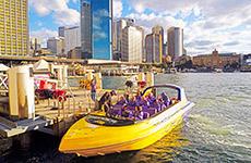 Jet boat rides on Sydney Harbour