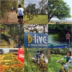 Cycle through the very traditional, green, grassroots feel of Goa. 

#letsblive #funoverfuel #southgoatrails #divar #fun #ev #ecotourism #eco #tours #ebikes #discovery #goavibes 