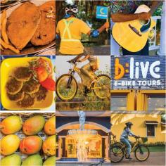 Get on a yellow e-bike and have a fun-filled ride to all the undiscovered yellows of Goa.

#letsblive #funoverfuel #fun #ev #ecotourism #eco #tours #ebikes #discovery #goavibes 