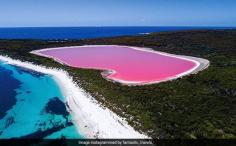 Pink water lake hillier in Australia viral video images