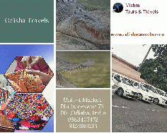 Mishra Tours &Travels is the foremost travel operator provides affordable tour packages, including hotel booking, cab service, visa service, air and ticket booking assistance to its customers. If you are coming in or outside the country, we will help you book a car in Bhubaneswar Airport. We are one of the most trusted travel operators help our customers avail all types of luxury and affordable services, so that they can enjoy their holidays in Odisha to its fullest. 