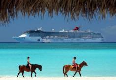 cruiseship-horses-on-beach