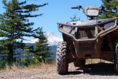Mt Hood ATV Rentals, LLC

Looking for a unique experience the whole family can enjoy? Mt Hood ATV Rentals wants to help you make memories of family fun and adventure that will last a lifetime.
There is no other mountain in the pacific northwest like Mt. Hood.

Address: 16596 SE 362nd Dr, Sandy, OR 97055, USA
Phone: 503-482-0301
Website: https://mthoodatv.com