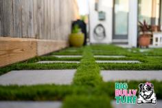Big Bully Turf

At Big Bully Turf, it's not just about providing turf; it's about crafting an experience tailored for you. From the bustling city to the serene outskirts, Southern California and Las Vegas are places of contrasts, and the weather? Oh, it's a world of its own. We've understood that and made sure our offerings are not just unique but apt for these climates.

Address: 350 Tenth Ave, Suite 820, San Diego, CA 92101, USA
Phone: 619-371-9870
Website: https://bigbullyturf.com/locations/san-diego
