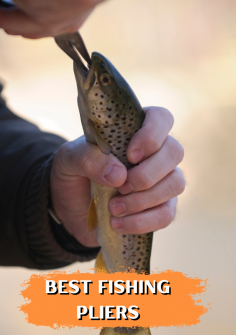 Explore Fishinges for a curated selection of the best fishing pliers! Our expert reviews and top recommendations ensure that you find pliers that are durable, rust-resistant, and equipped with features like split ring tools and line cutters for handling your catch with precision. Whether you're freshwater or saltwater fishing, Fishinges has the perfect pair of pliers to meet your needs. Visit us today and upgrade your fishing gear with top-quality pliers!