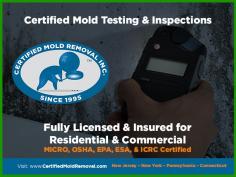Certified Mold Removal Inc.

Serving the Tri-State Area since 1995, Certified Mold Removal Inc. provides professional mold testing, inspection, removal & remediation services in New Jersey, Eastern PA, Fairfield County CT, Staten Island & Westchester County NY. Licensed, Bonded & Insured. Same Day Mold Tests Available. Call now.

Address: 56 Churchill Street, Freehold, NJ 07728, USA
Phone: 732-934-6499
Website: https://certifiedmoldremoval.com