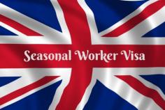 UK provides several work visa options, such as the Seasonal Worker visa, aimed at filling labor gaps in industries like agriculture. This visa permits short-term employment for up to six months. Recent UK Immigration News covers updates in UK Work visa policies, showcasing adjustments to meet labor market demands.