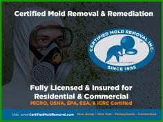 Certified Mold Removal Inc.

Serving the Tri-State Area since 1995, Certified Mold Removal Inc. provides professional mold testing, inspection, removal & remediation services in New Jersey, Eastern PA, Fairfield County CT, Staten Island & Westchester County NY. Licensed, Bonded & Insured. Same Day Mold Tests Available. Call now.

Address: 56 Churchill Street, Freehold, NJ 07728, USA
Phone: 732-934-6499
Website: https://certifiedmoldremoval.com

